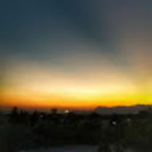 Meet your Posher, Hamed